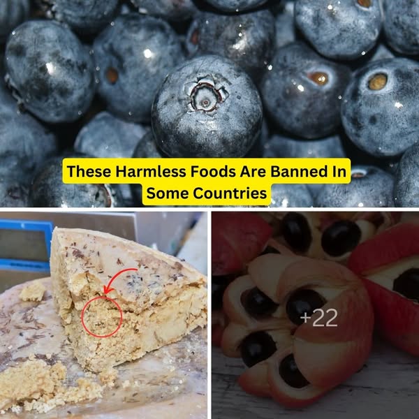 25+ Surprising Banned Foods From Around The Globe